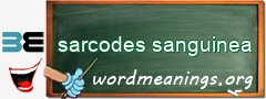 WordMeaning blackboard for sarcodes sanguinea